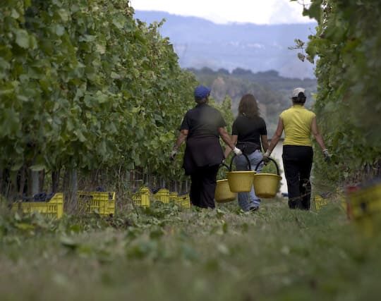 TAKE THIS OPPORTUNITY